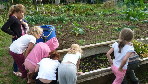 Création et Animation d’Ateliers enfants sur le potager