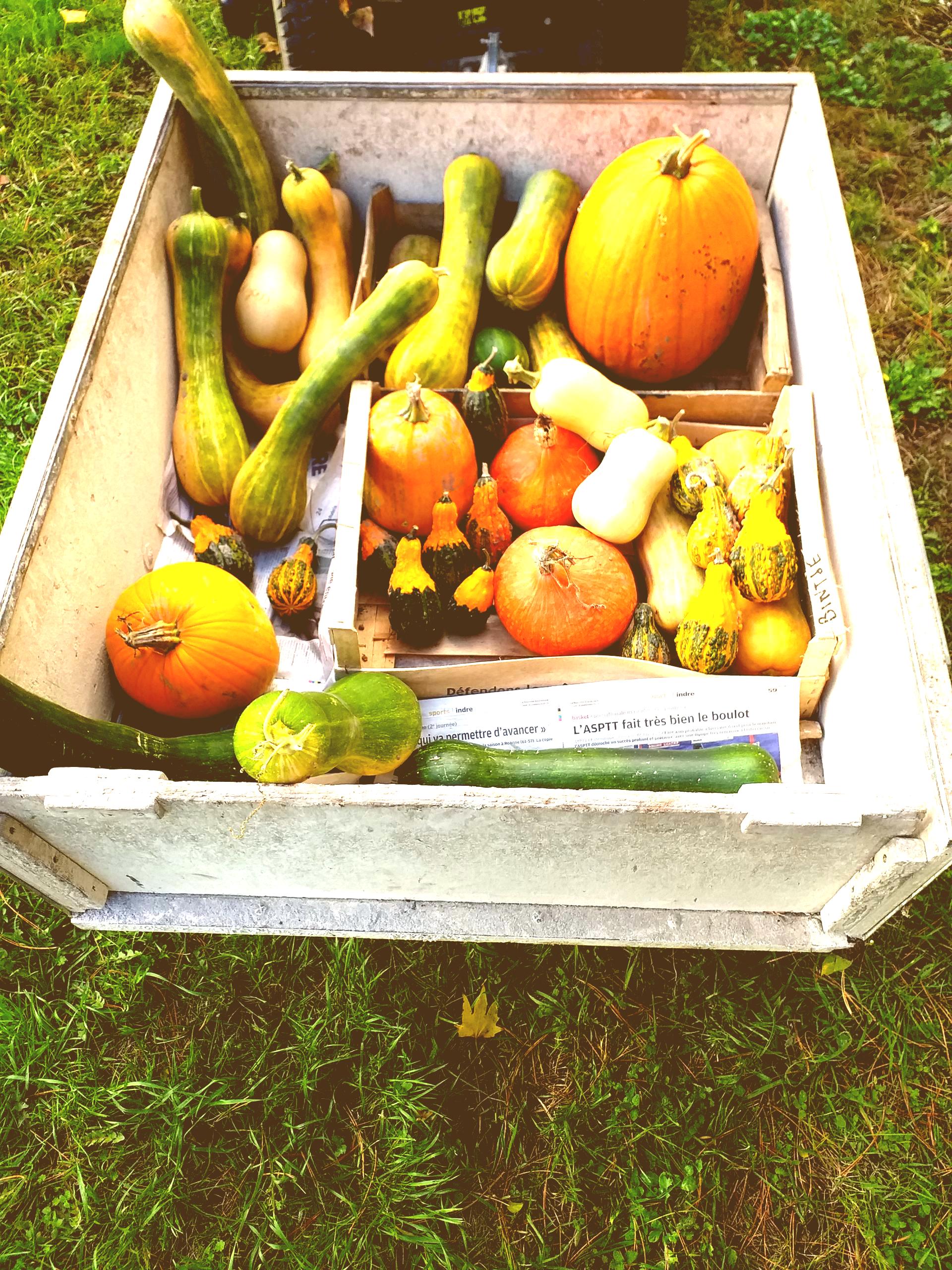 20201026_142631-scaled-antique